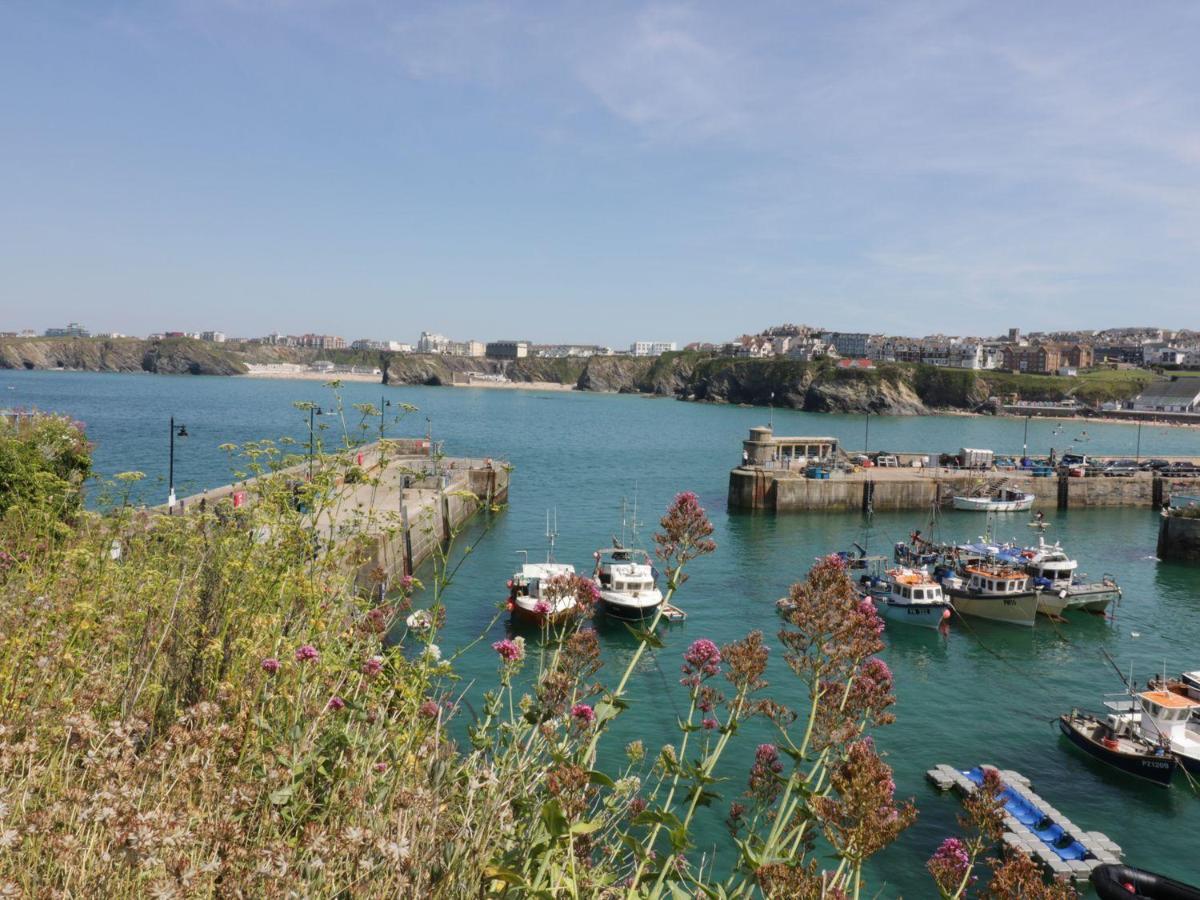 Flat 4 Apartment New Quay Екстериор снимка